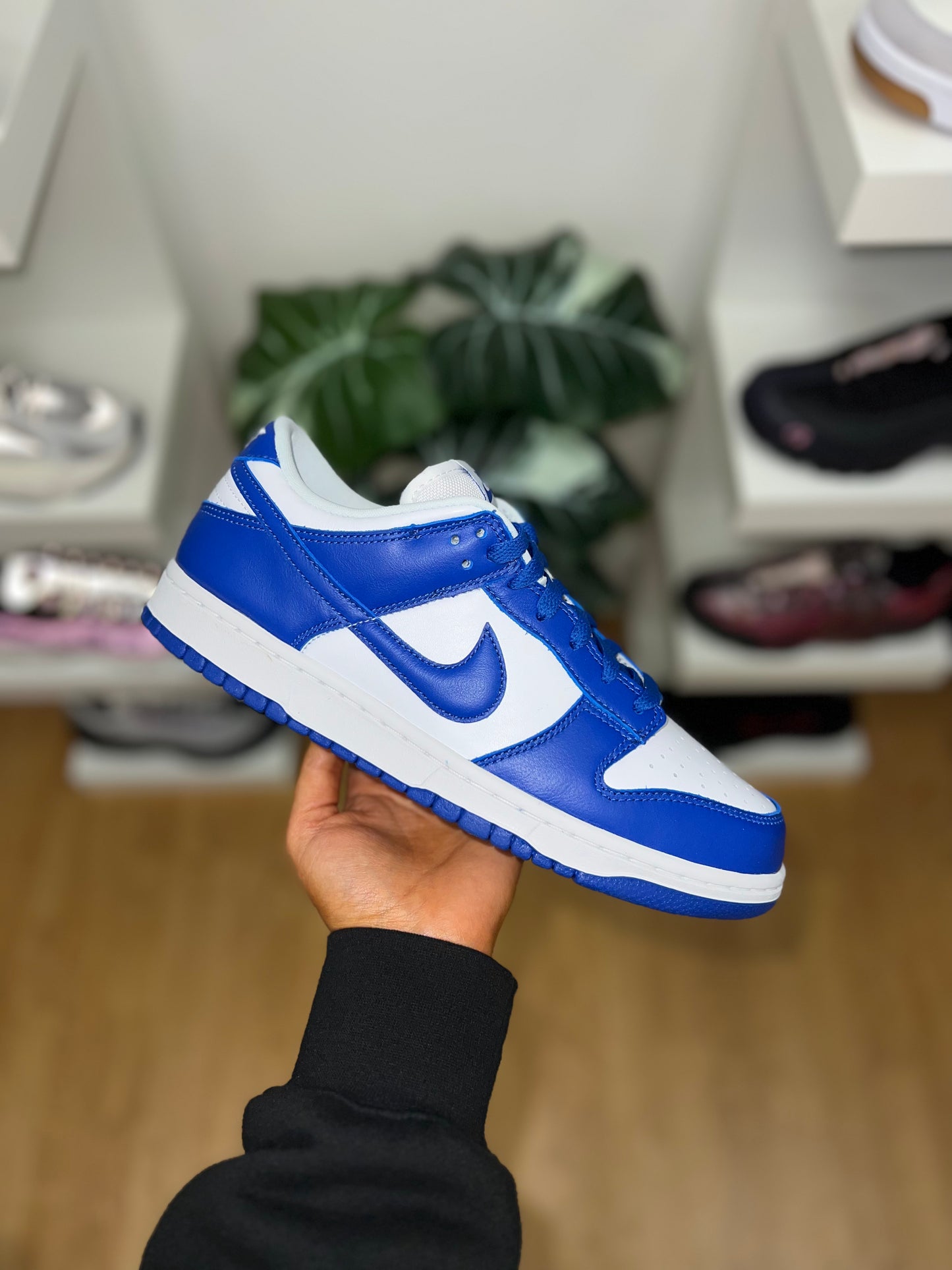 Nike Dunk Low SP Kentucky