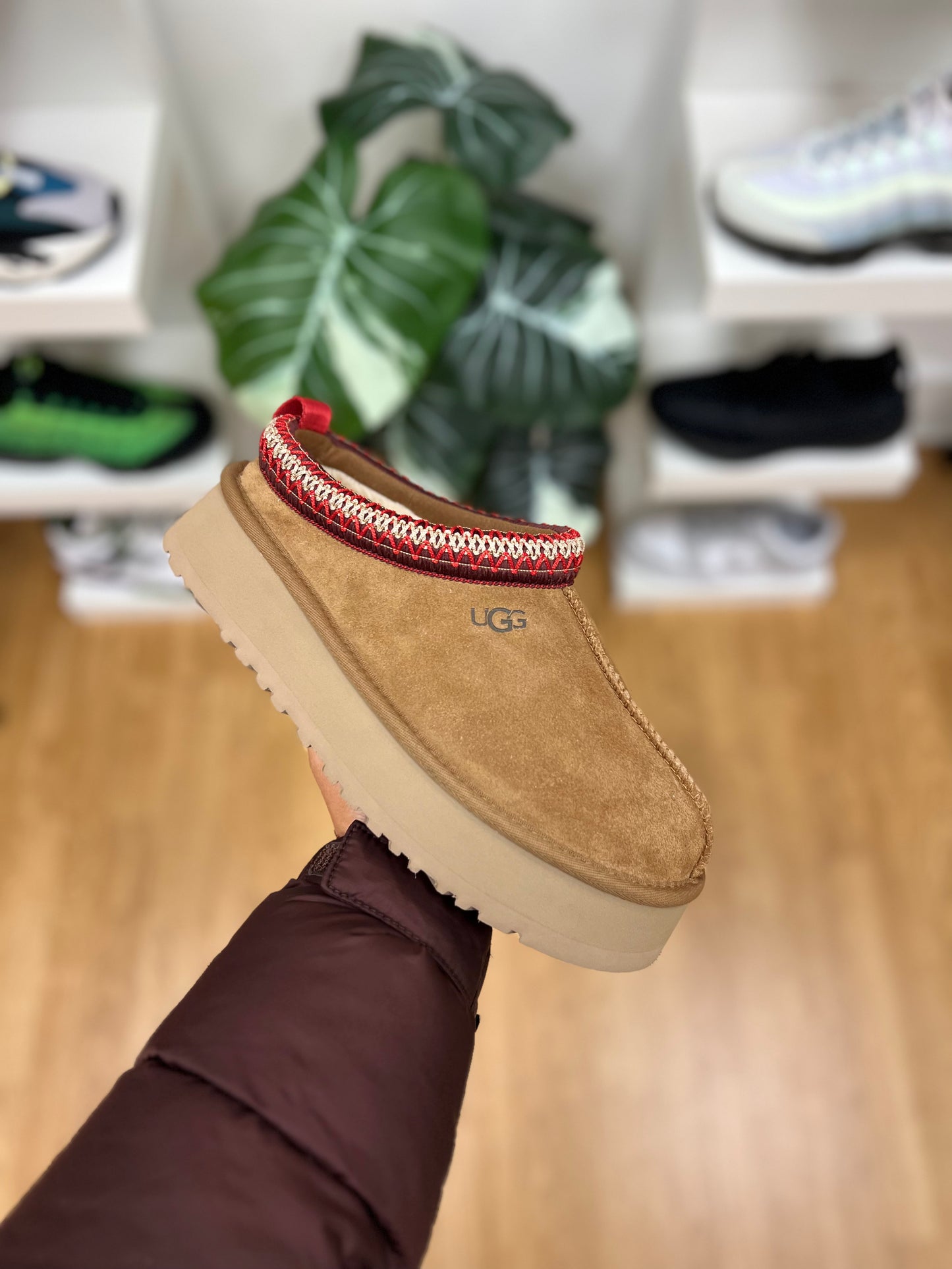 Ugg Tazz Chestnut